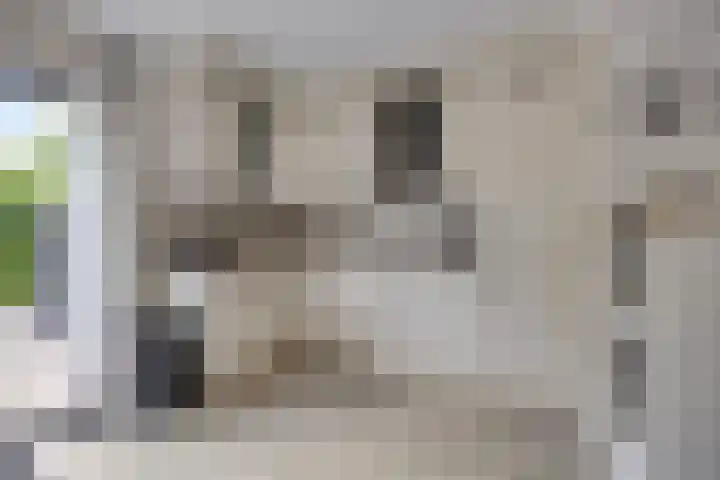 Peppelenwei 37 Arnhem thumbnail 6
