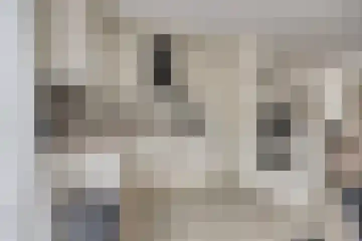 Peppelenwei 37 Arnhem thumbnail 8