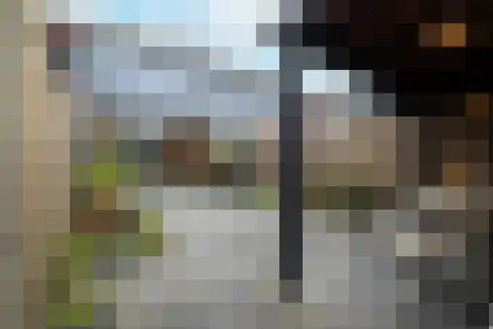 Peppelenwei 47 Arnhem thumbnail 13