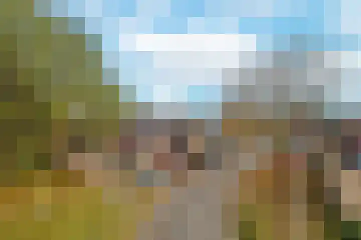 Peppelenwei 47 Arnhem thumbnail 15
