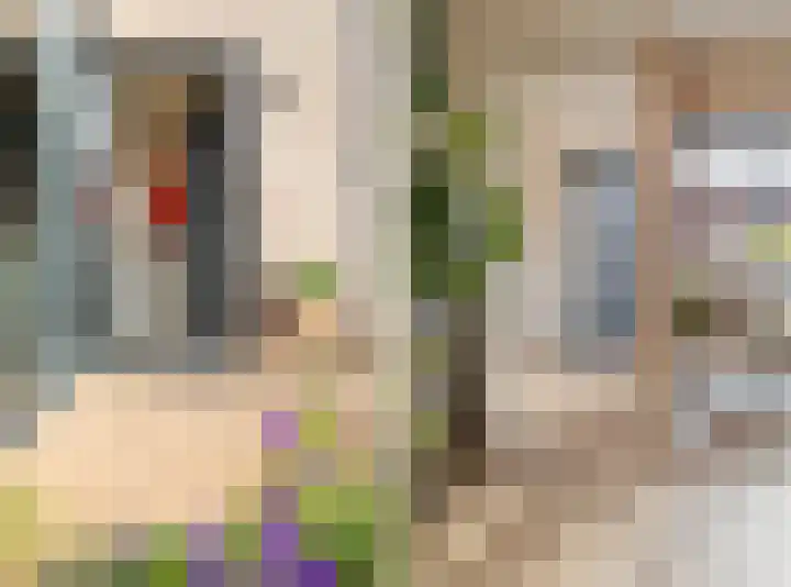 Peppelenwei 47 Arnhem thumbnail 17