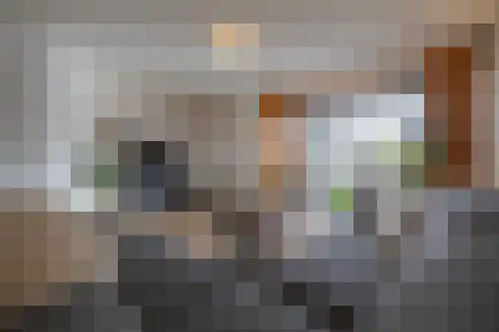 Peppelenwei 47 Arnhem thumbnail 20