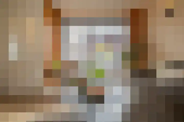 Peppelenwei 47 Arnhem thumbnail 21