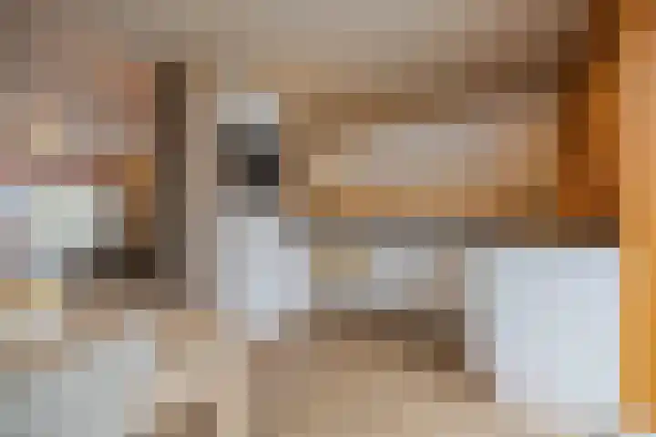 Peppelenwei 47 Arnhem thumbnail 22