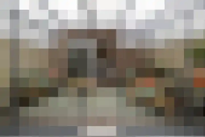 Peppelenwei 47 Arnhem thumbnail 29