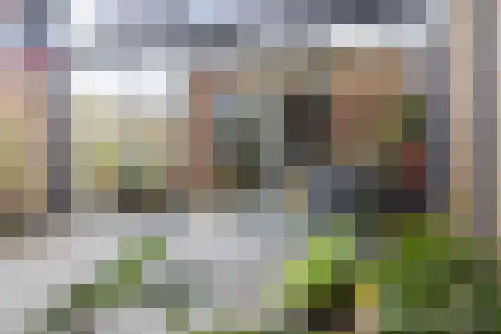 Peppelenwei 47 Arnhem thumbnail 30