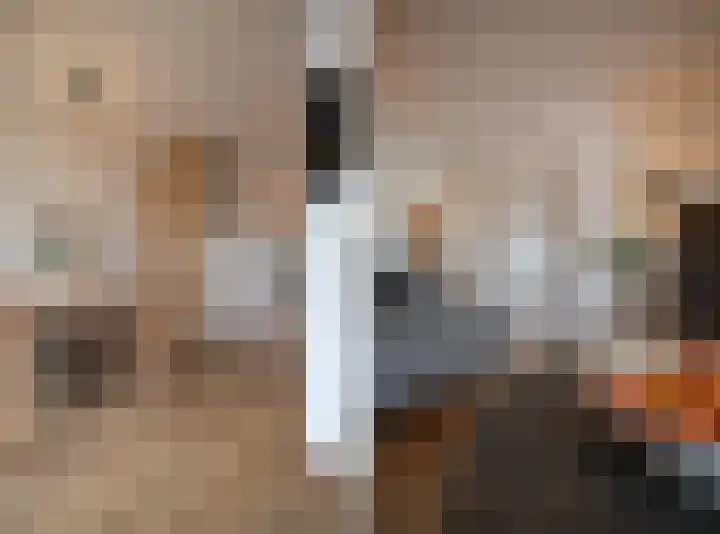 Peppelenwei 47 Arnhem thumbnail 31