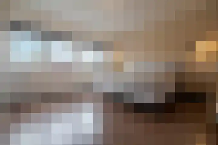 Peppelenwei 47 Arnhem thumbnail 32