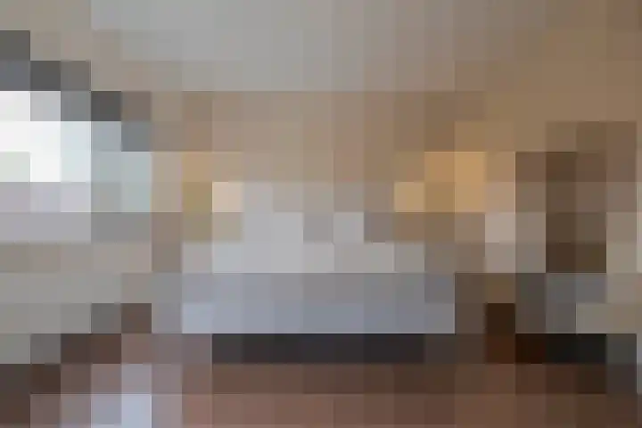 Peppelenwei 47 Arnhem thumbnail 35