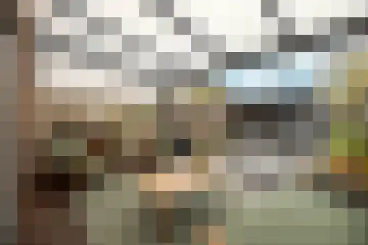 Peppelenwei 47 Arnhem thumbnail 4