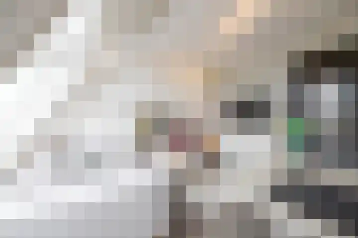 Peppelenwei 47 Arnhem thumbnail 48