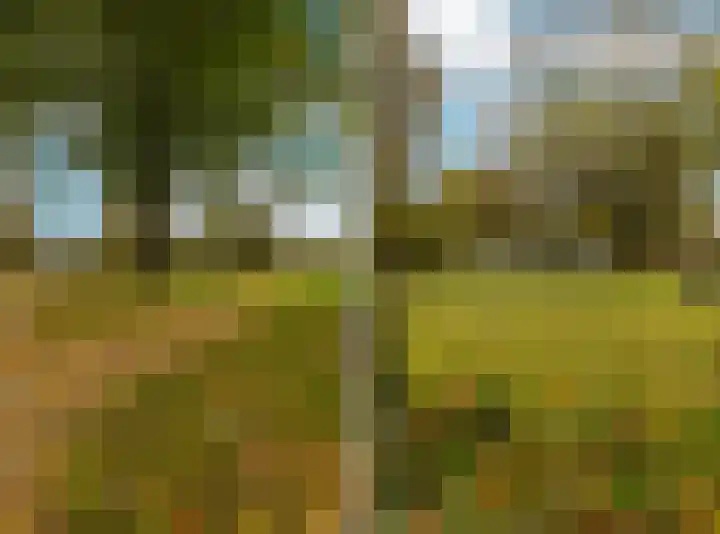 Peppelenwei 47 Arnhem thumbnail 57