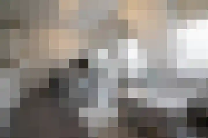Peppelenwei 47 Arnhem thumbnail 6