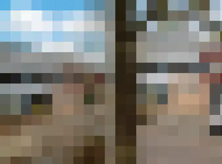 Peppelenwei 47 Arnhem thumbnail 7