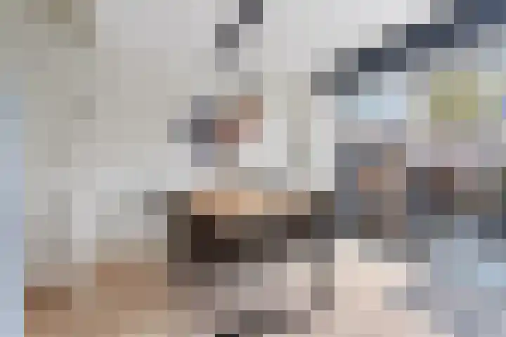 Peppelenwei 57 Arnhem thumbnail 17