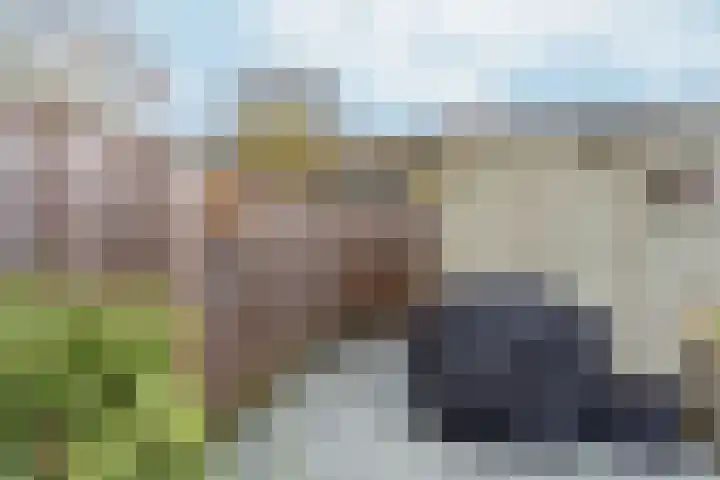 Peppelenwei 57 Arnhem thumbnail 53