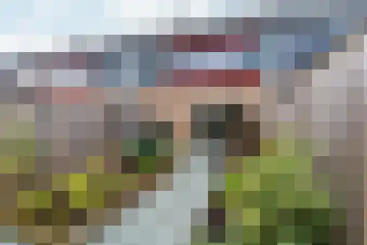 Peppelenwei 57 Arnhem thumbnail 57