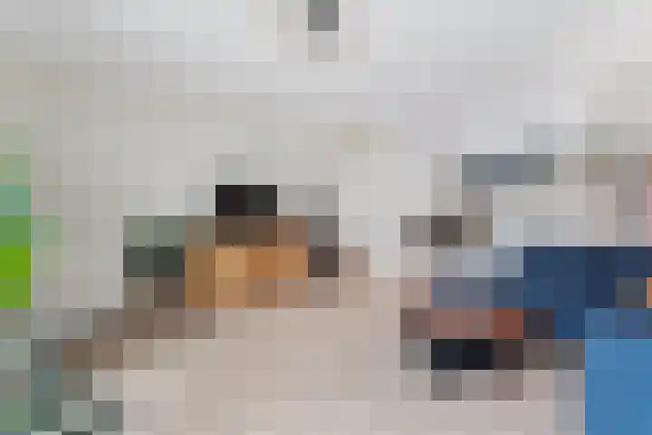 Peppelenwei 57 Arnhem thumbnail 7