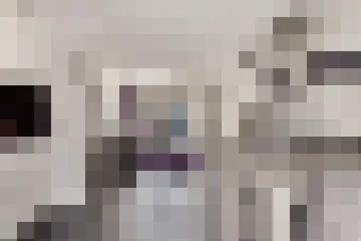 Peppelenwei 65 Arnhem thumbnail 16