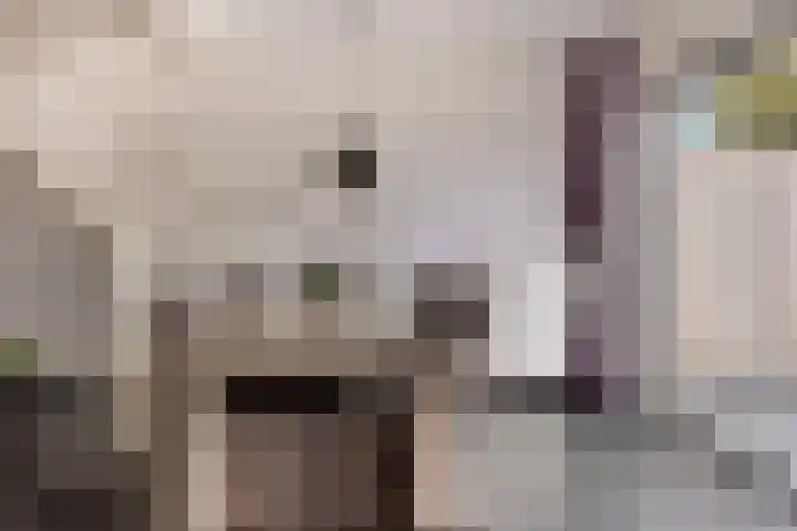 Peppelenwei 65 Arnhem thumbnail 17