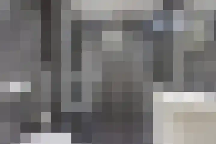 Peppelenwei 65 Arnhem thumbnail 20