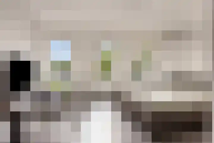 Peppelenwei 65 Arnhem thumbnail 24