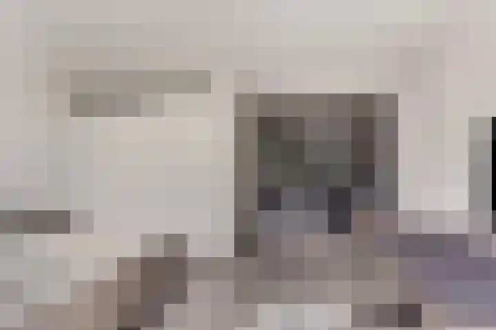 Peppelenwei 65 Arnhem thumbnail 25