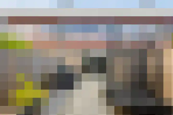 Peppelenwei 65 Arnhem thumbnail 27