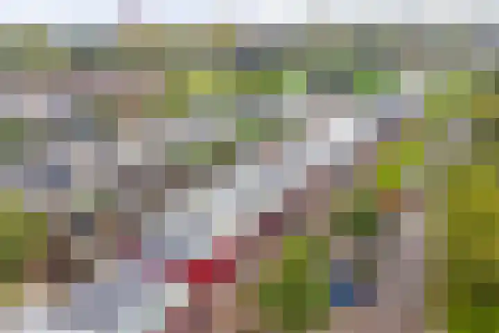 Peppelenwei 65 Arnhem thumbnail 31