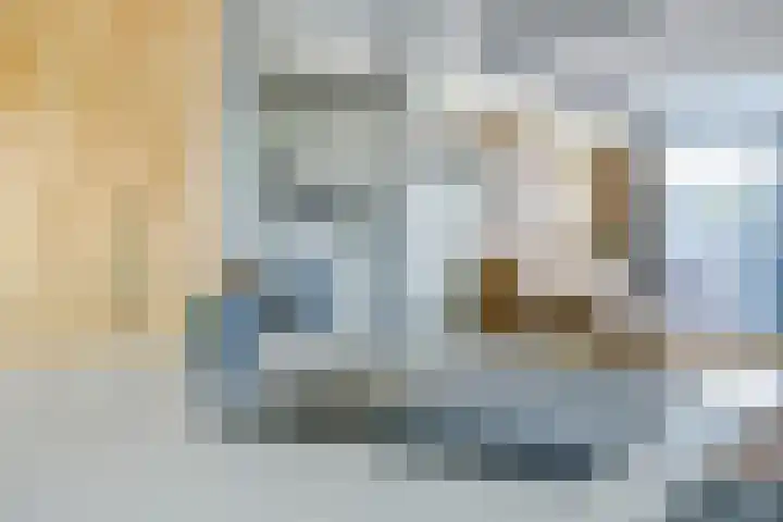 Peppelenwei 97 Arnhem thumbnail 21