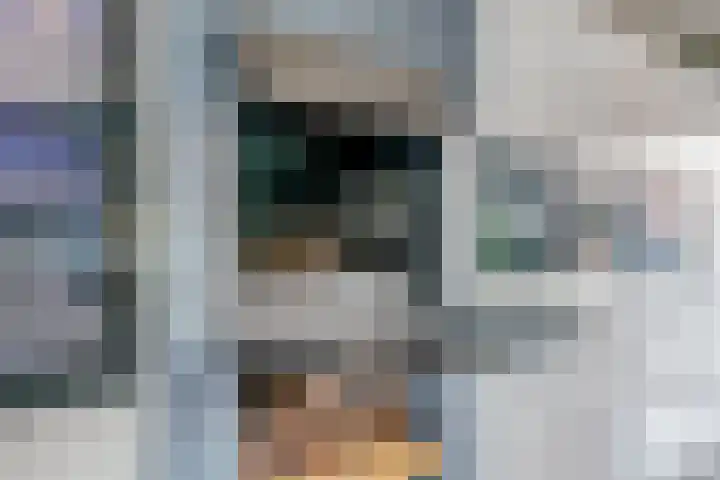 Peppelenwei 97 Arnhem thumbnail 24
