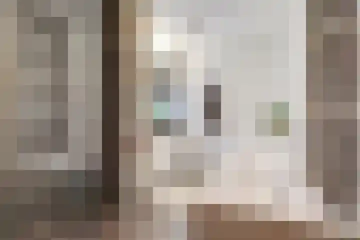 Peppelenwei 97 Arnhem thumbnail 35