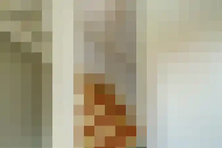 Peppelenwei 97 Arnhem thumbnail 38