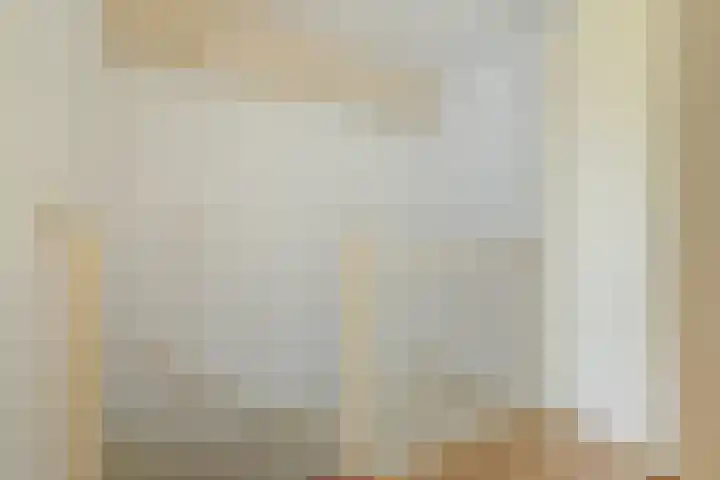 Peppelenwei 97 Arnhem thumbnail 39