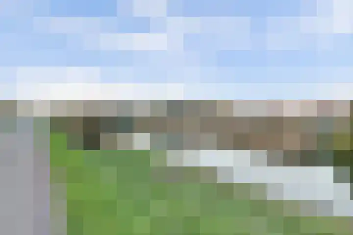 Peppelenwei 97 Arnhem thumbnail 50