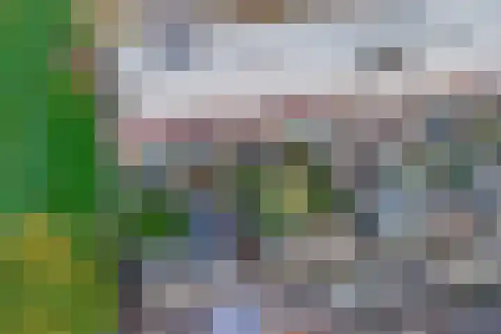 Peppelenwei 97 Arnhem thumbnail 52