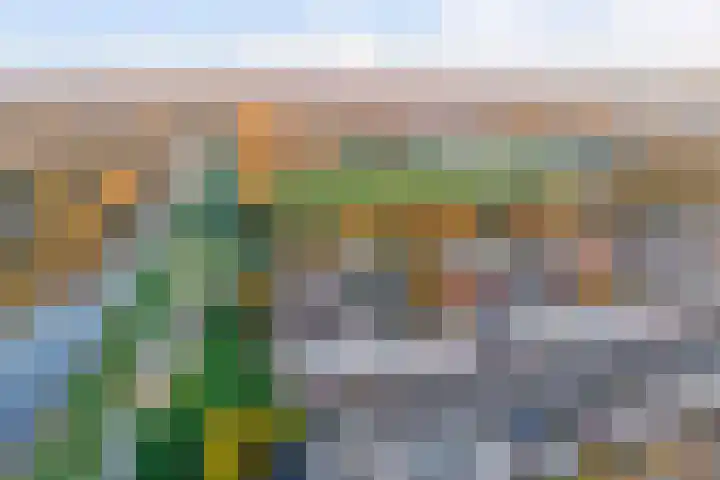Peppelenwei 97 Arnhem thumbnail 53