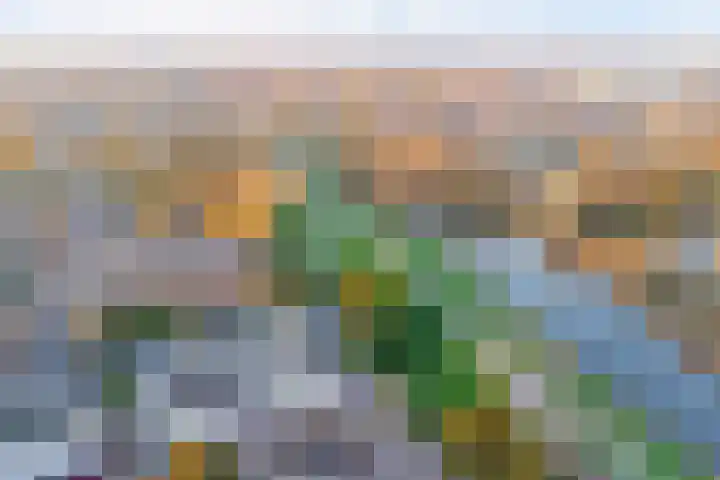 Peppelenwei 97 Arnhem thumbnail 54