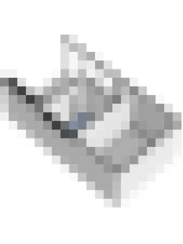 Peppelenwei 97 Arnhem thumbnail 66