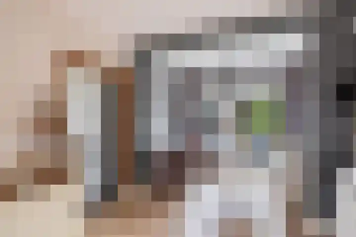 Peppelerweg 10 Putten thumbnail 15