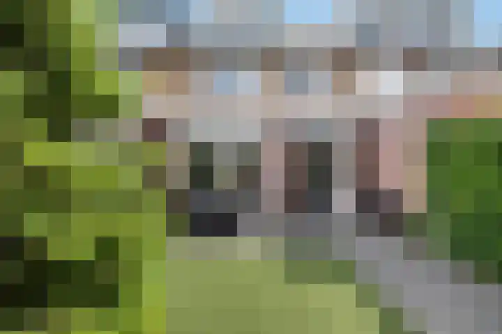 Peppelerweg 10 Putten thumbnail 28