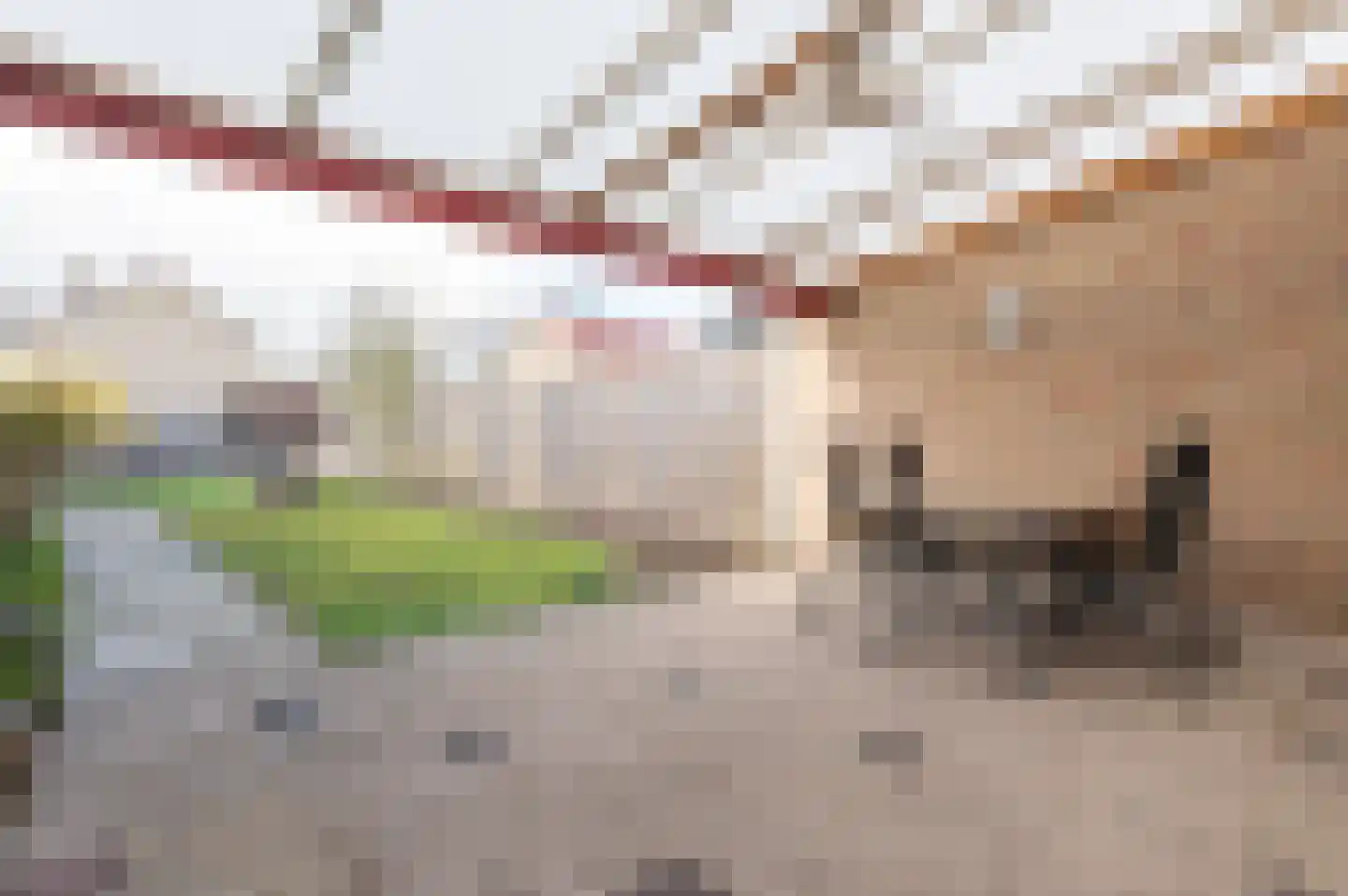Peppelerweg 28 Putten thumbnail 27
