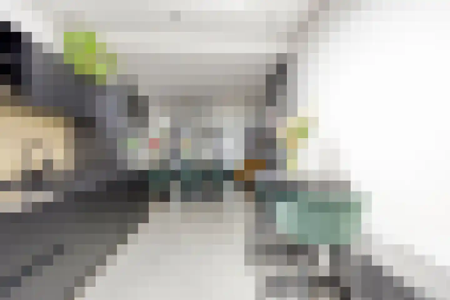 Peppelgaard 17 Goirle thumbnail 10