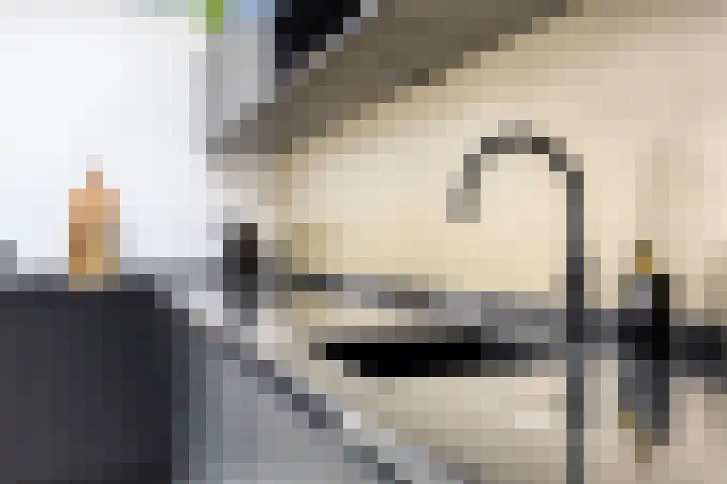 Peppelgaard 17 Goirle thumbnail 12
