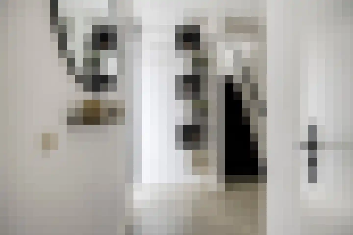Peppelgaard 17 Goirle thumbnail 15