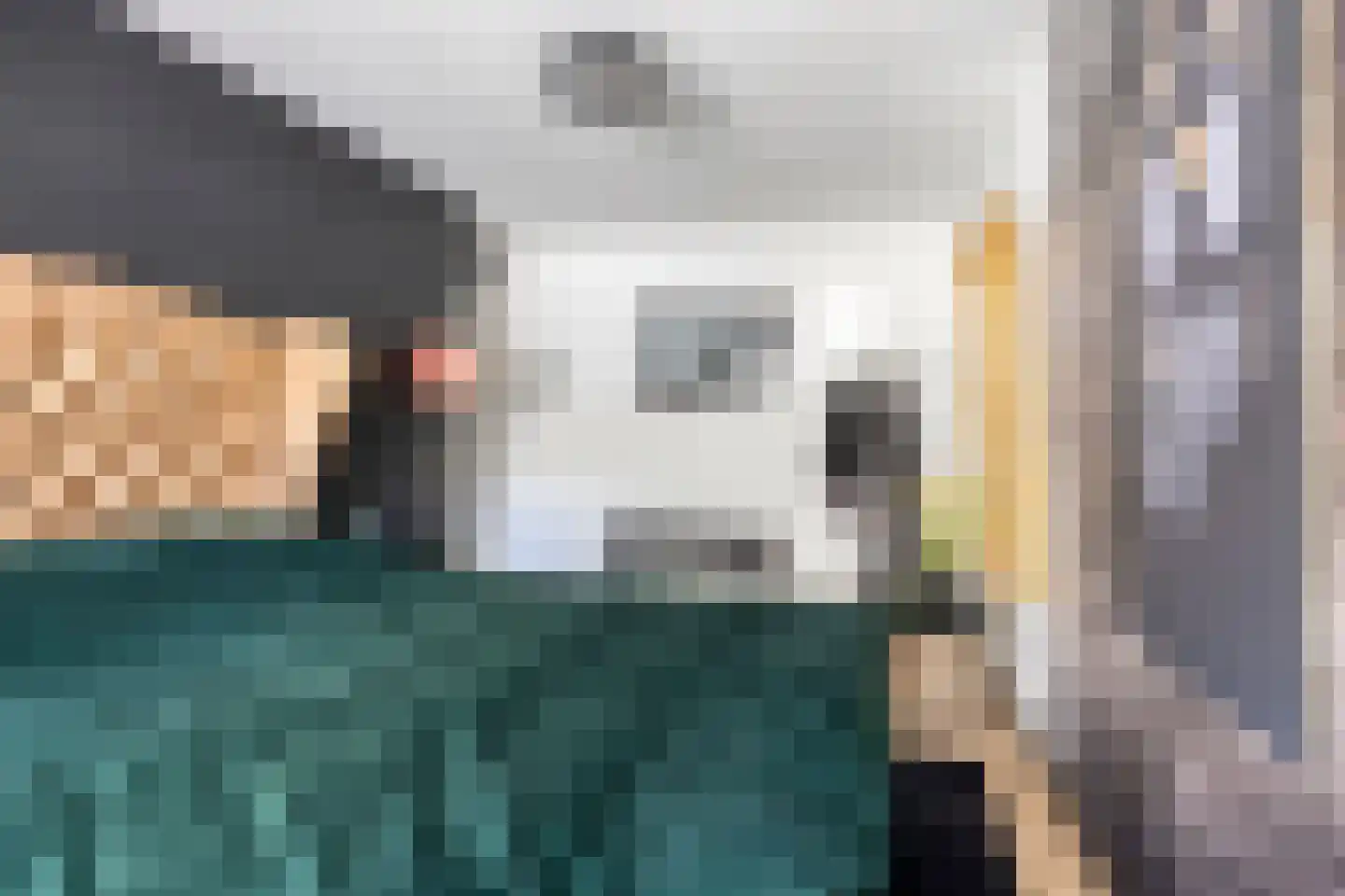 Peppelgaard 17 Goirle thumbnail 22