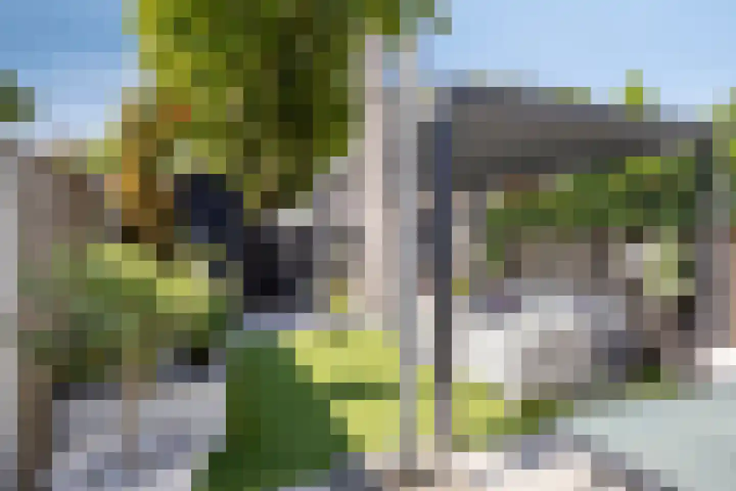 Peppelgaard 17 Goirle thumbnail 30