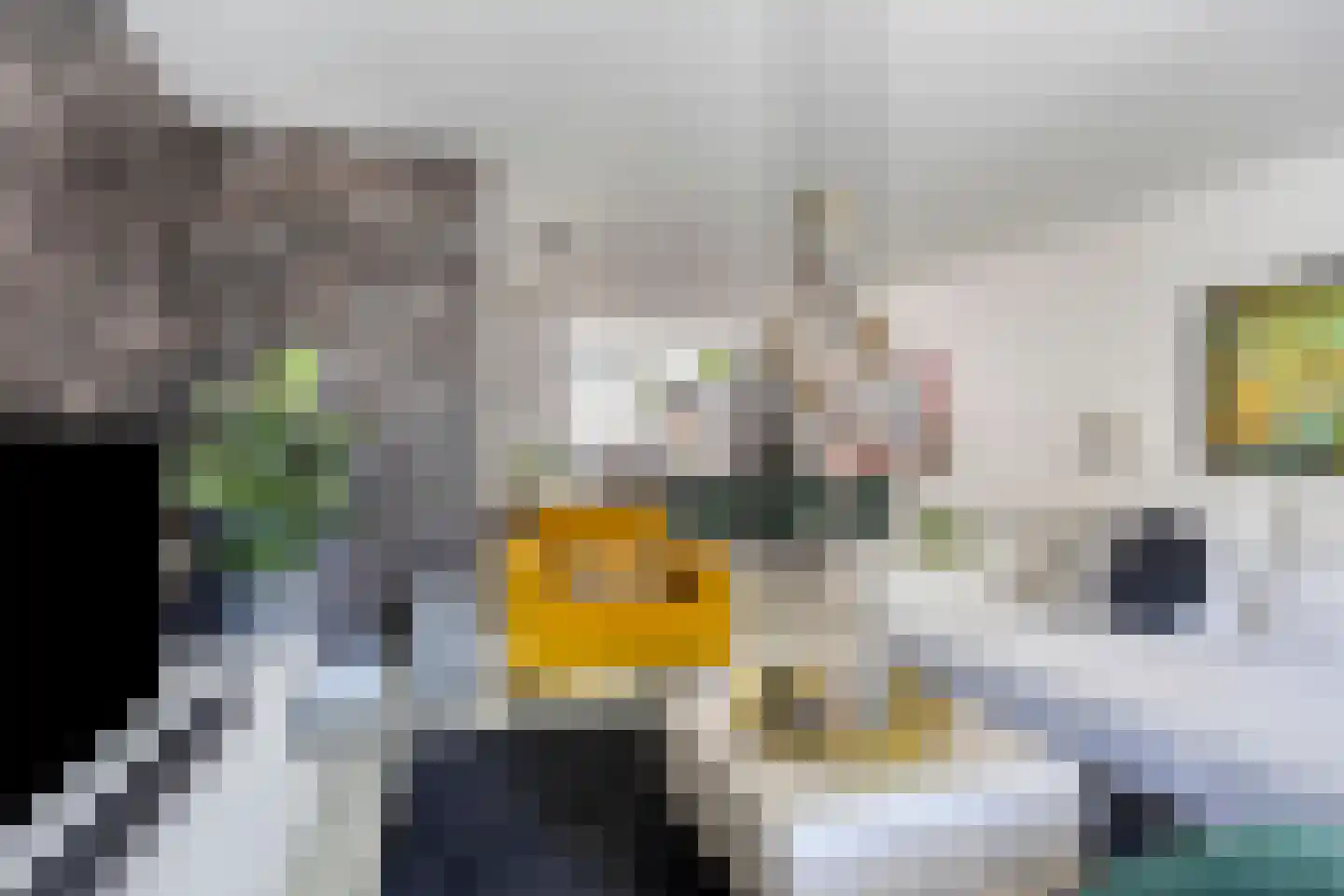Peppelgaard 17 Goirle thumbnail 4