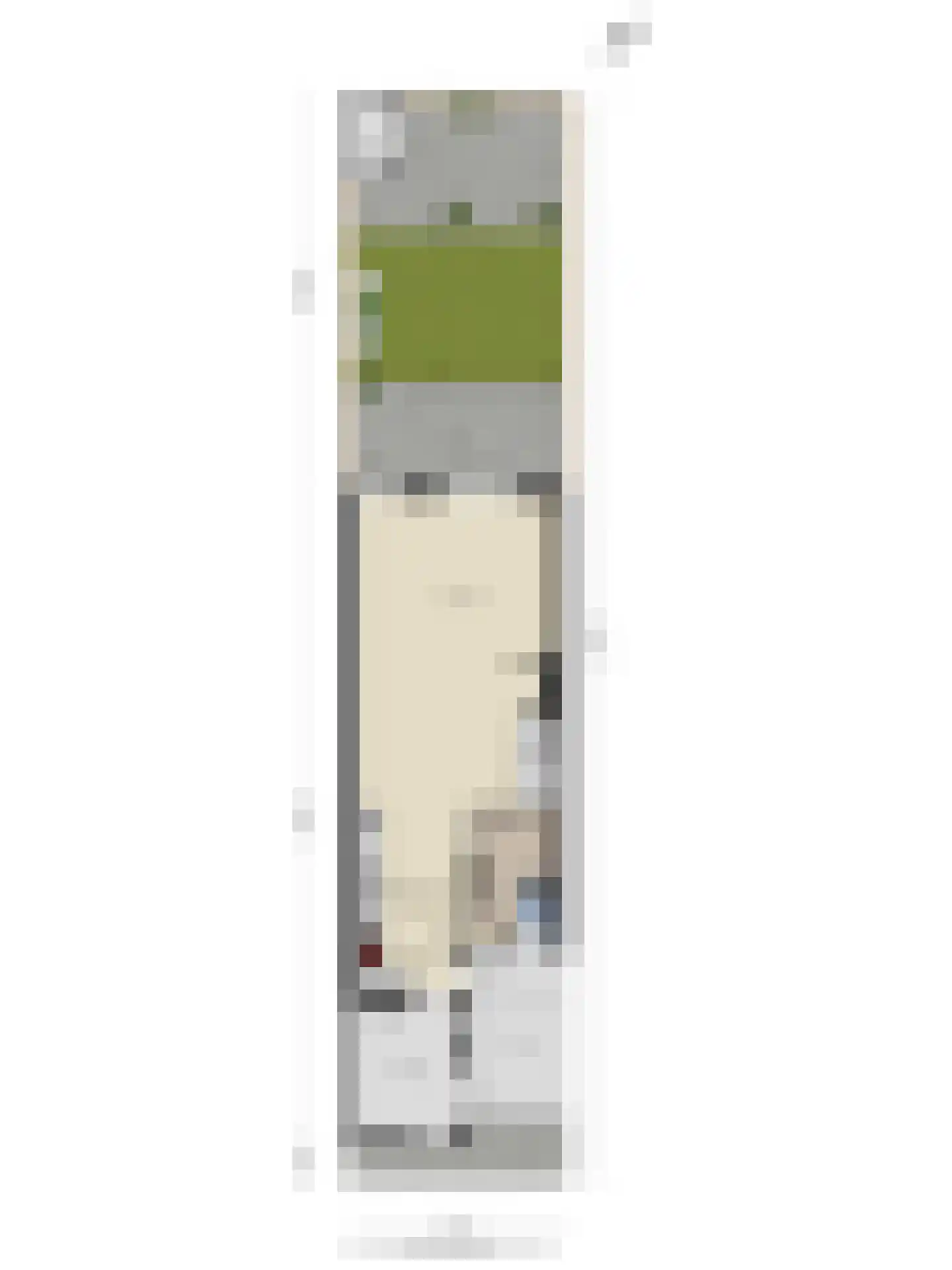 Peppelgaard 17 Goirle thumbnail 44