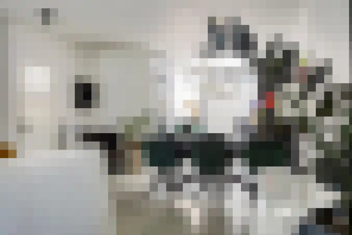 Peppelgaard 17 Goirle thumbnail 6